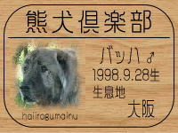 �Ё[����̂g�o�ւf�n�I